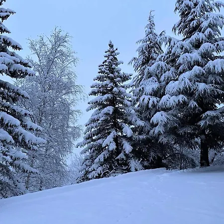 Apartment Neige Et Soleil - Neige Et Soleil Mae-0041